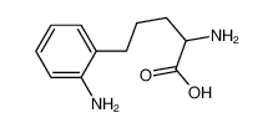 Imagem de 2-amino-5-(2-aminophenyl)pentanoic acid