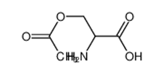 Picture of 3-acetyloxy-2-aminopropanoic acid