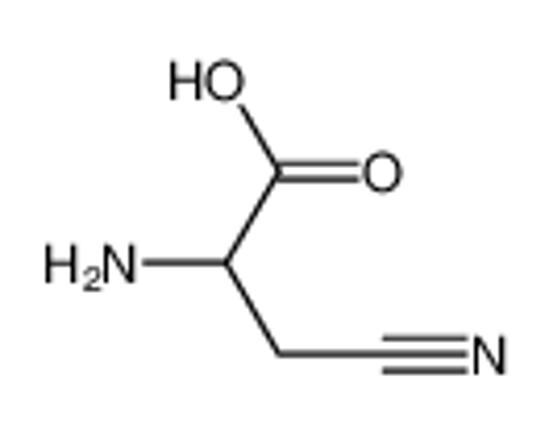 Picture of 2-amino-3-cyanopropanoic acid