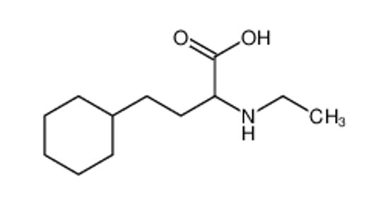 Picture of 4-cyclohexyl-2-(ethylamino)butanoic acid