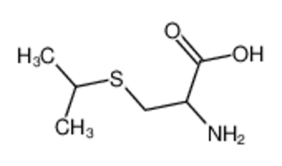 Imagem de (2R)-2-amino-3-propan-2-ylsulfanylpropanoic acid
