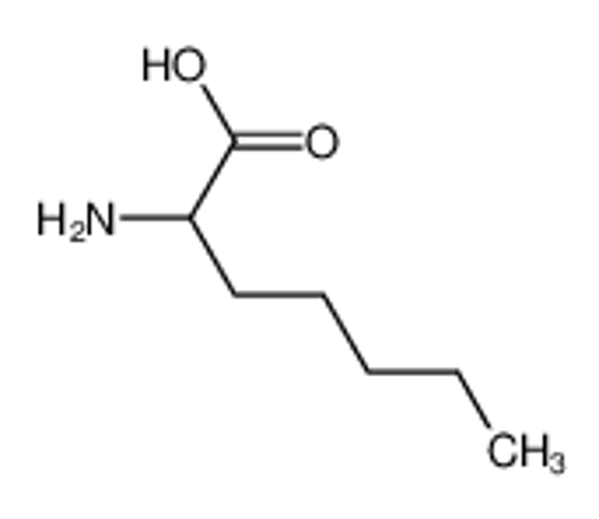 Picture of 2-aminoheptanoic acid