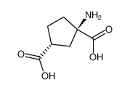 Picture of trans-(±)-ACPD monohydrate