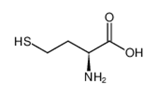 Picture of L-Homocysteine