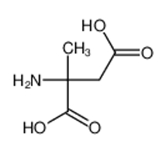 Изображение 2-amino-2-methylsuccinic acid