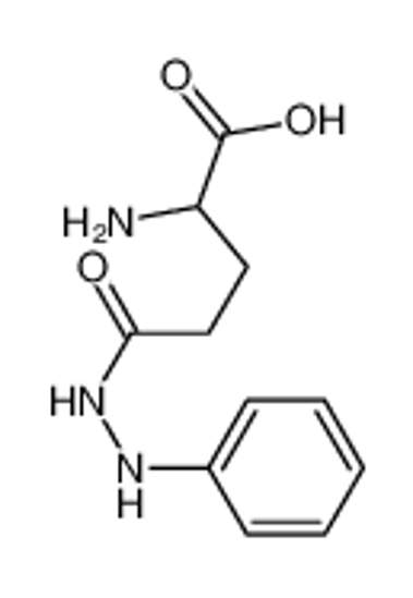 Picture of 2-amino-5-oxo-5-(2-phenylhydrazinyl)pentanoic acid