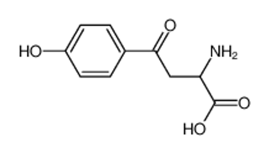 Picture of 2-amino-4-(4-hydroxyphenyl)-4-oxobutanoic acid