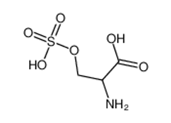 Picture of 2-amino-3-sulfooxypropanoic acid