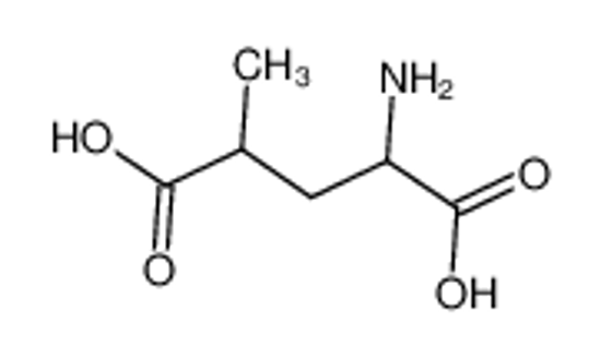 Picture of 2-amino-4-methylpentanedioic acid