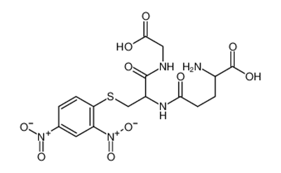 Picture of S-(2,4-dinitrophenyl)glutathione
