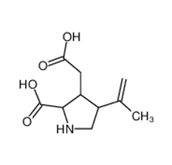 Picture of (2S)-3-(carboxymethyl)-4-prop-1-en-2-ylpyrrolidine-2-carboxylic acid