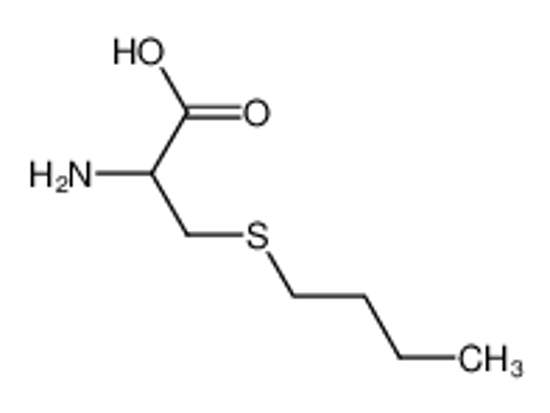 Picture of 2-amino-3-butylsulfanylpropanoic acid