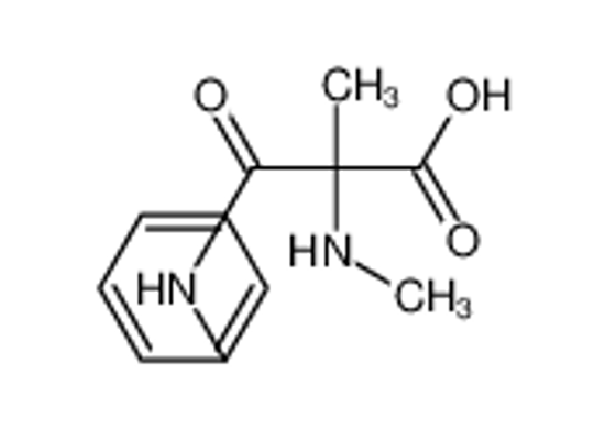 Picture of 3-anilino-2-methyl-2-(methylamino)-3-oxopropanoic acid