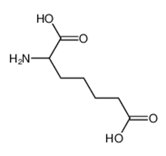 Picture of 2-aminopimelic acid