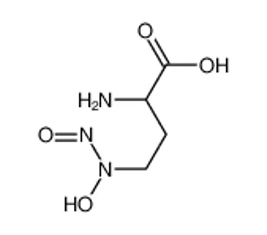 Imagem de 2-amino-4-[hydroxy(nitroso)amino]butanoic acid