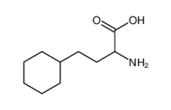 Picture of 2-amino-4-cyclohexylbutanoic acid