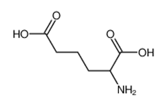 Picture of 2-aminoadipic acid