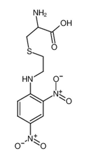 Picture of (2R)-2-amino-3-[2-(2,4-dinitroanilino)ethylsulfanyl]propanoic acid