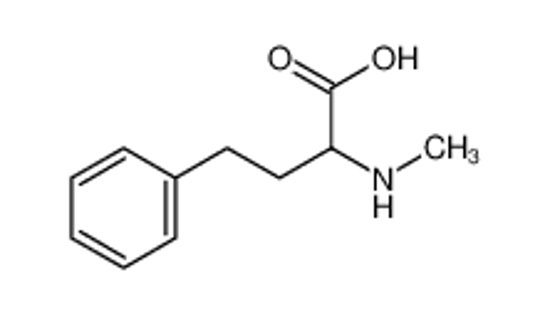 Picture of 2-(methylamino)-4-phenylbutanoic acid