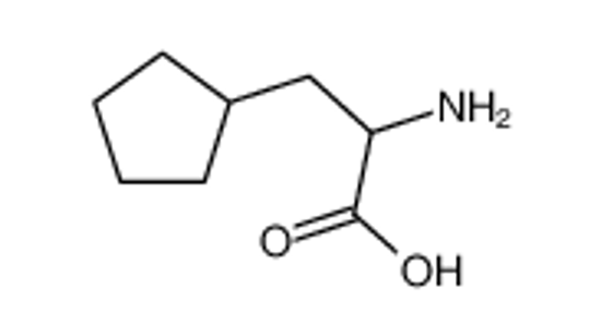 Picture of Cyclopentanealanine