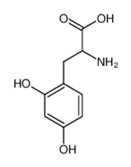 Picture of 2-amino-3-(2,4-dihydroxyphenyl)propanoic acid