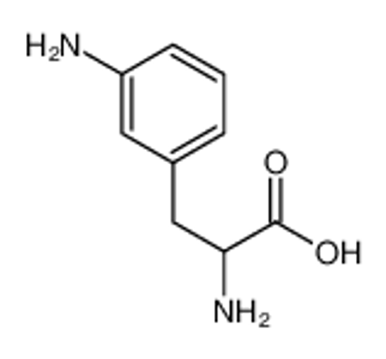 Picture of (2S)-2-amino-3-(3-aminophenyl)propanoic acid