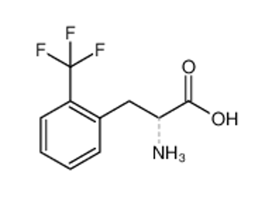 Picture of 2-amino-3-[2-(trifluoromethyl)phenyl]propanoic acid
