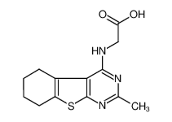 Picture of (2-Methyl-5,6,7,8-tetrahydro-benzo[4,5]thieno-[2,3-d]pyrimidin-4-ylamino)-acetic acid