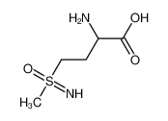 Picture of L-methionine sulfoximine