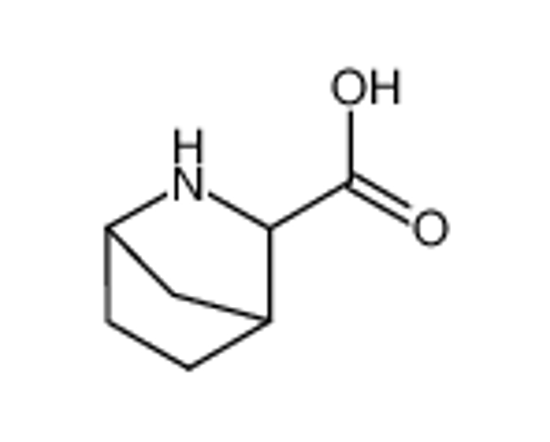 Picture of (1R,3S,4R)-2-Azabicyclo[2.2.1]heptane-3-carboxylic acid