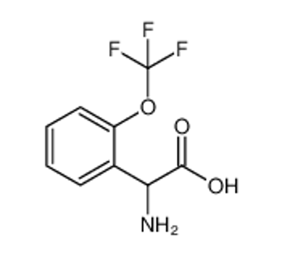 Изображение 2-Amino-2-(2-(trifluoromethoxy)phenyl)acetic acid