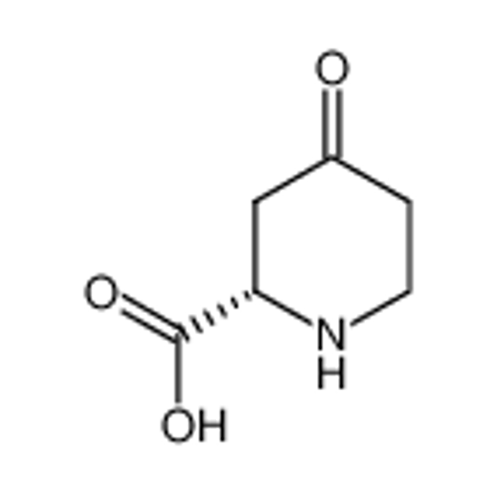 Picture of (2S)-4-oxopipecolic acid