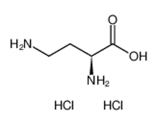 Picture of L-2,4-Diaminobutyric acid dihydrochloride