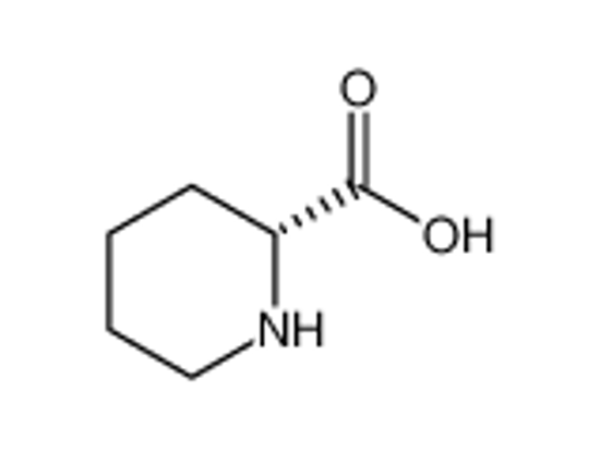 Imagem de D-pipecolic acid