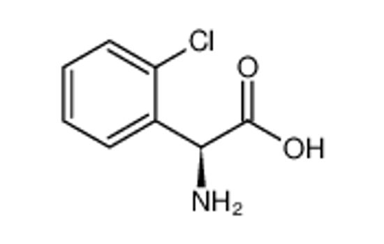Picture of (S)-2-Amino-2-(2-chlorophenyl)acetic acid