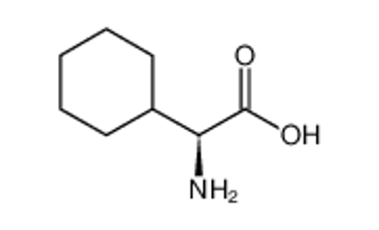 Picture of L-(+)-2-Cyclohexylglycine