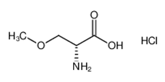 Picture of (R)-2-Amino-3-methoxypropanoic acid hydrochloride