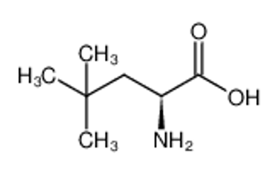 Picture of (2S)-2-amino-4,4-dimethylpentanoic acid