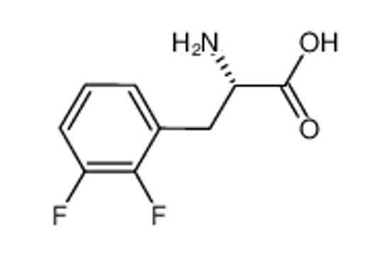 Picture of (2S)-2-amino-3-(2,3-difluorophenyl)propanoic acid