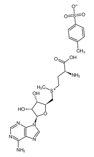 Picture of 5'-[[(3S)-3-Amino-3-carboxypropyl]methylsulfonio]-5'-deoxy-Adenosine tosylate
