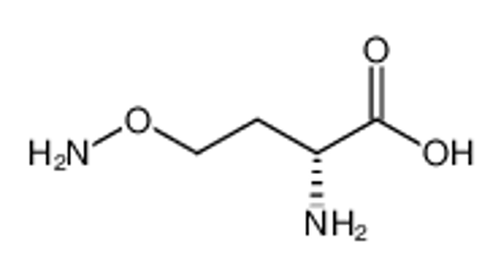 Imagem de (2R)-2-amino-4-aminooxybutanoic acid