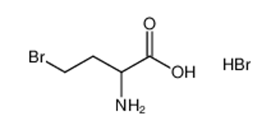 Picture of 2-amino-4-bromobutanoic acid,hydrobromide