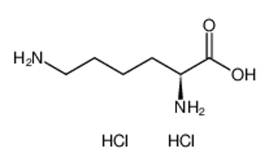 Picture of (S)-2,6-Diaminohexanoic acid dihydrochloride