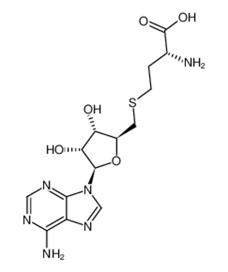 Imagem de (2R)-2-amino-4-[[(2S,3S,4R,5R)-5-(6-aminopurin-9-yl)-3,4-dihydroxyoxolan-2-yl]methylsulfanyl]butanoic acid