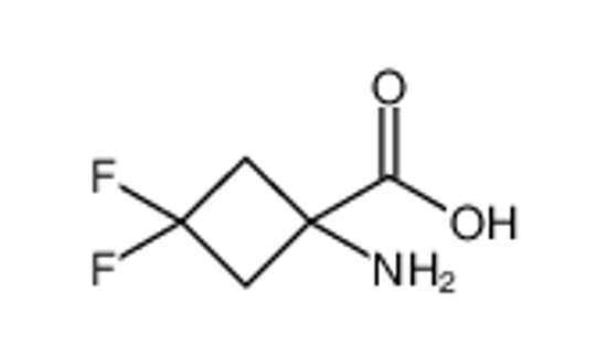 Imagem de 1-amino-3,3-difluorocyclobutane-1-carboxylic acid