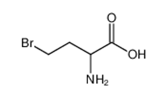 Picture of 2-Amino-4-bromobutanoic acid