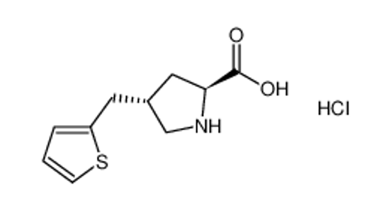 Picture of (2S,4S)-4-(thiophen-2-ylmethyl)pyrrolidine-2-carboxylic acid,hydrochloride