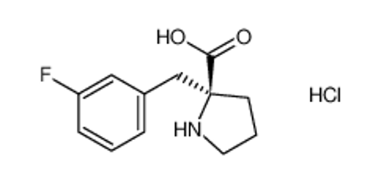 Picture of (2S)-2-[(3-fluorophenyl)methyl]pyrrolidine-2-carboxylic acid,hydrochloride