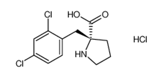 Imagem de (2R)-2-[(2,4-dichlorophenyl)methyl]pyrrolidine-2-carboxylic acid,hydrochloride
