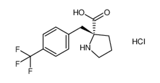 Picture of (2R)-2-[[4-(trifluoromethyl)phenyl]methyl]pyrrolidine-2-carboxylic acid,hydrochloride